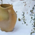 Attività di giardinaggio a febbraio: preparazione dell'orto e semina per un raccolto abbondante.