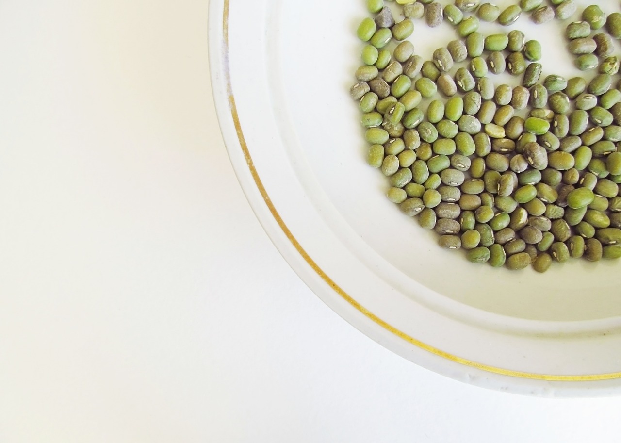 Semi che germogliano in un vaso, mostrando giovani piantine verdi e fresche.